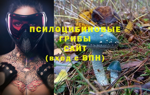 эйфоретик Пестово