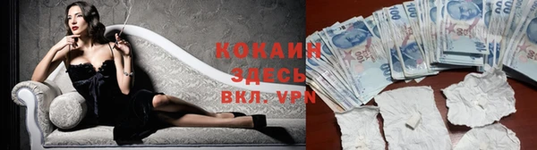 spice Осташков
