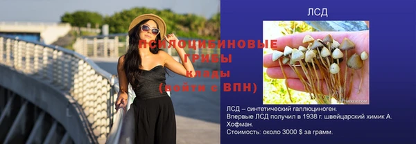 spice Осташков