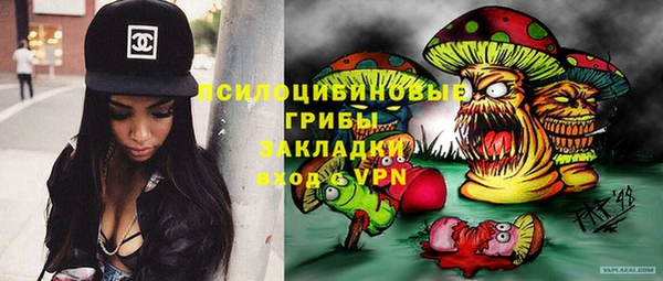 шишки Переславль-Залесский