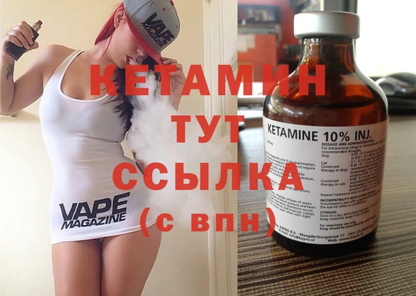 шишки Переславль-Залесский