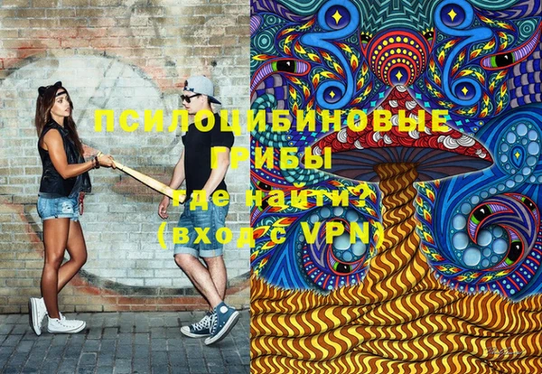 spice Осташков