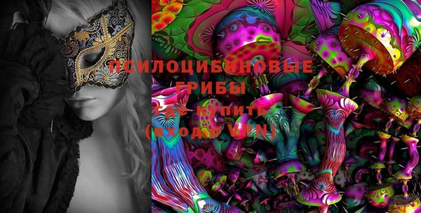 mix Пересвет