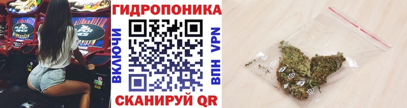 магазин продажи   Иннополис  Марихуана OG Kush 
